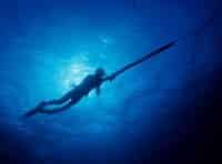 программа Охота: Морская охота Эпизод 1 й