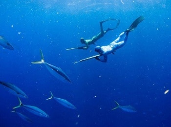 программа Охота: Морская охота Эпизод 3 й