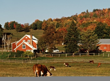 Моя-большая-семейная-ферма-Осень