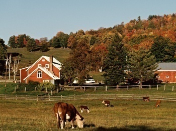 Моя-большая-семейная-ферма