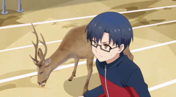 Моя-подруга-олениха-Нокотан-11-серия