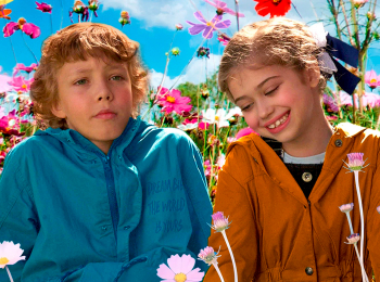 Мухадракон кадры