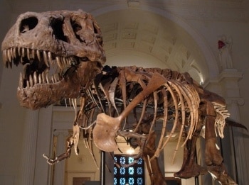 программа Travel Channel: Музейные тайны Ледовое побоище