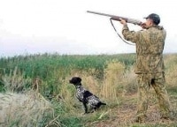 программа Охота: На охотничьей тропе 19 серия