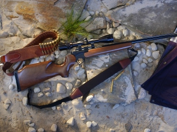 программа Охота: На охотничьей тропе Особенности охоты на фазана