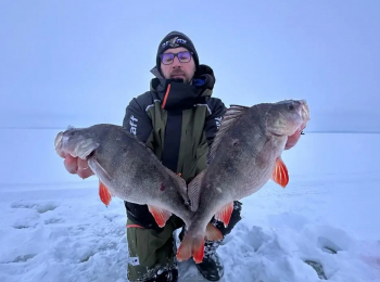 программа Охота: На поиски трофеев Камского Устья 29 серия