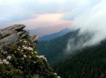 Национальные-парки-Америки-Йеллоустоун