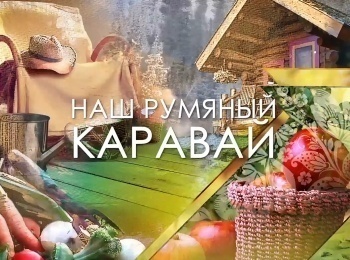 Наш-румяный-каравай-33-серия
