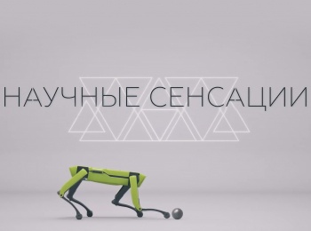 программа Доктор: Научные сенсации Продлить жизнь