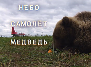 Небо-Самолет-Медведь