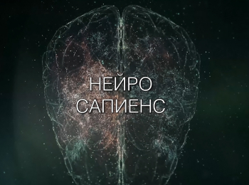 программа ОТР: Нейро Сапиенс Искусство