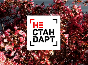 программа Загородный: Нестандарт Карлики и полукарлики