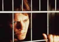 программа СТС: Невидимка