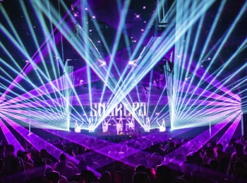 программа Fight Box: NEW Snake Pit 2019