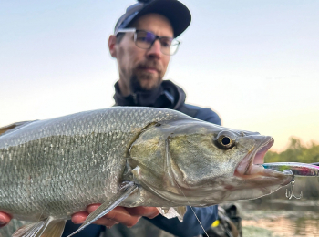 программа Охота: Незабываемая рыбалка 47 серия