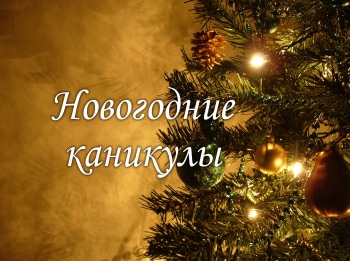 программа Поехали: Новогодние каникулы
