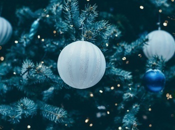 программа ТНВ-планета: Новый Год с ТНВ!