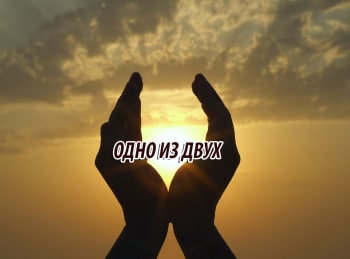 программа Надежда: Одно из двух Аминь и камень? Правильно ли то, что чем больше, тем лучше? О синице в руке и журавле в небе