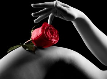 программа Русская ночь: Офисные развлечения