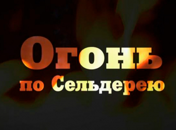Огонь-по-Сельдерею-Шашлык-из-курицы,-пита-с-сыром-сулугуни-и-травами-и-овощные-шашлычки