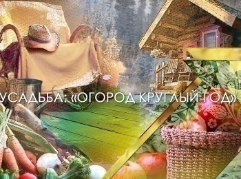 Огород-круглый-год-31-серия