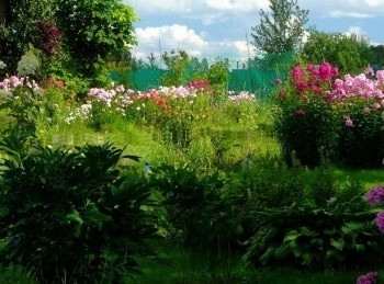 программа Усадьба: Огород круглый год 49 серия