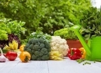 программа Усадьба: Огород от кутюр 1 серия