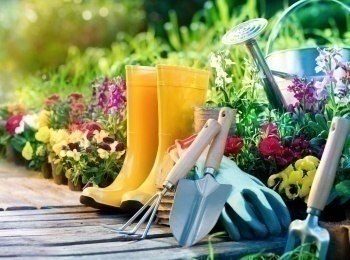 программа 360 Подмосковье: Огородники