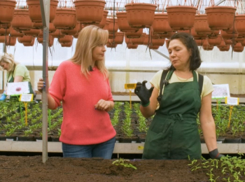 Огородные-заботы-Борьба-с-вредителями