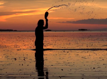 Океания-Ветер-в-зарослях-бамбука