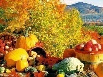 программа Точка ТВ: Осень на даче Румтур по кухне и уютные рецепты