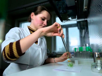 Основной-элемент-Шестое-чувство