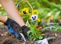 Особенный-садовник-3-серия