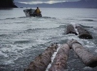 программа National Geographic: Остров бунтарей Дерево против машины