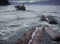 программа National Geographic: Остров бунтарей Дьявольский клуб