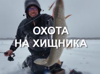 программа Охота: Охота на хищника 21 серия