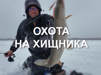 программа Охота: Охота на хищника 22 серия