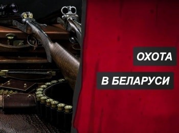 программа Охота: Охота в Беларуси Охота на водоплавающую дичь