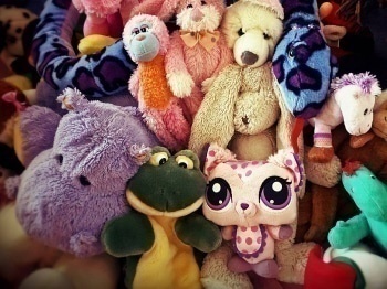 Охотник-за-игрушками-Сокровища-Северной-Каролины