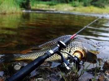 Патерностер-Подводный-фидер