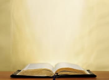 программа ТНВ: Переведи!