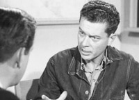 Перри-Мэйсон-Дело-об-умелом-похитителе