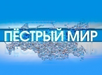 Пестрый-мир-Прямая-трансляция