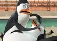 Пингвины-Мадагаскара-24-серия