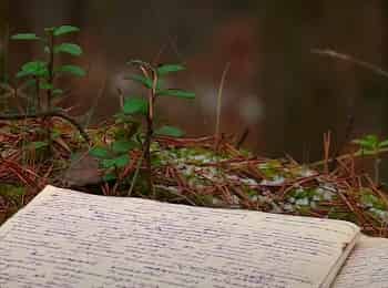 программа Культура: Письма из провинции Поселок Мстера Владимирская область