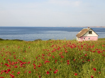 Письма-из-провинции-Шуя-Ивановская-область