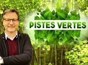 программа TV5: Pistes vertes
