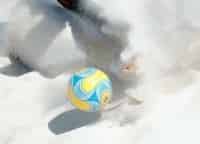 Пляжный-футбол-Интерконтинентальный-кубок-Финал-Трансляция-из-ОАЭ