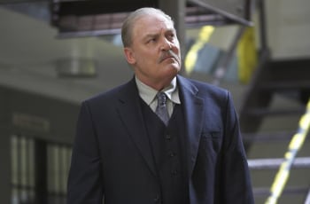 программа FOX: Побег Фотофиниш