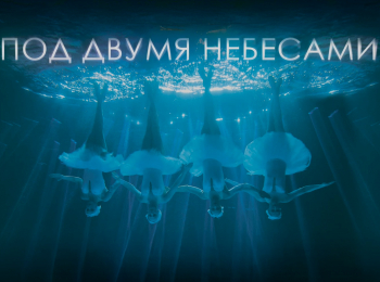 программа Матч Арена: Под двумя небесами